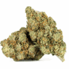 Motor Breath #15 (AAAA)