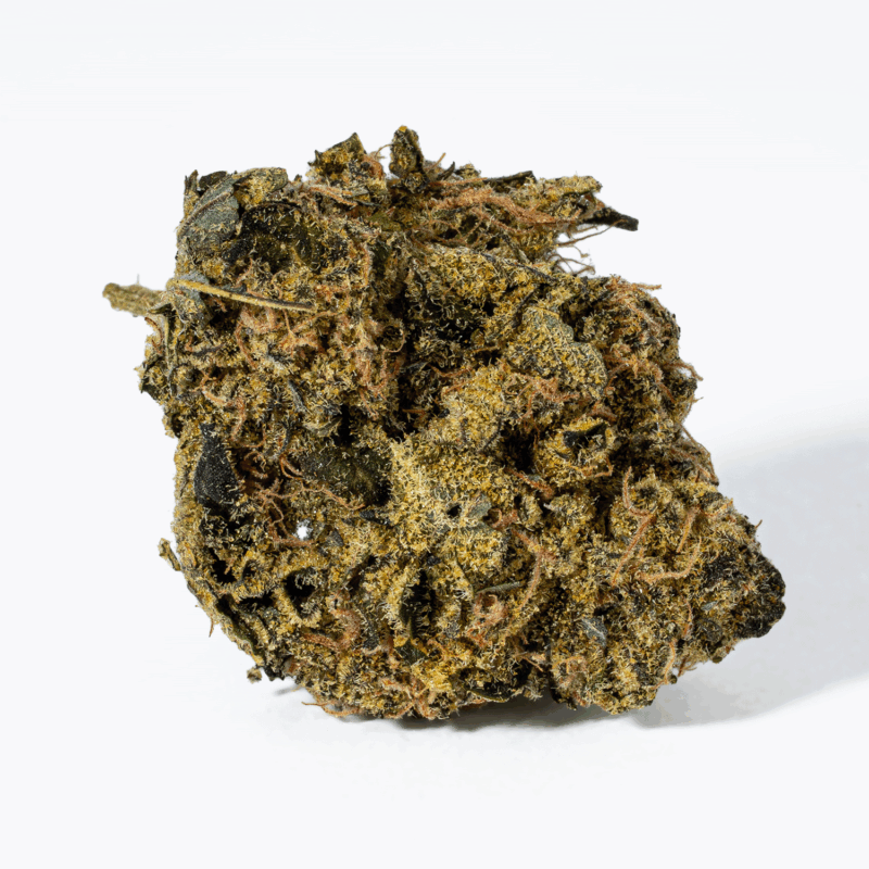 Cheese Wiz (AA) - Image 4
