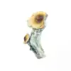 A-One Mushrooms - McKennaii