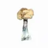 A-One Mushrooms - Koh Samui