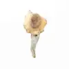 A-One Mushrooms - PF Classic