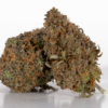 Mimosa (AAA)