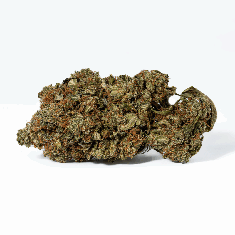 Grease Monkey (AA) - Image 4