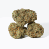Blackberry Headband (AAA+)