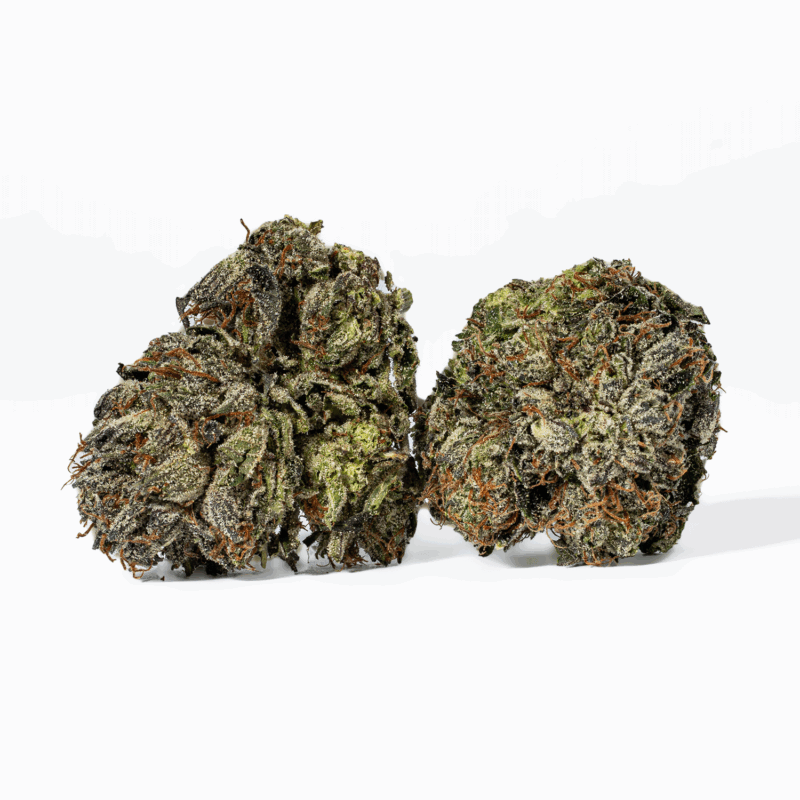 Gas Mask (AAAA) - Image 2