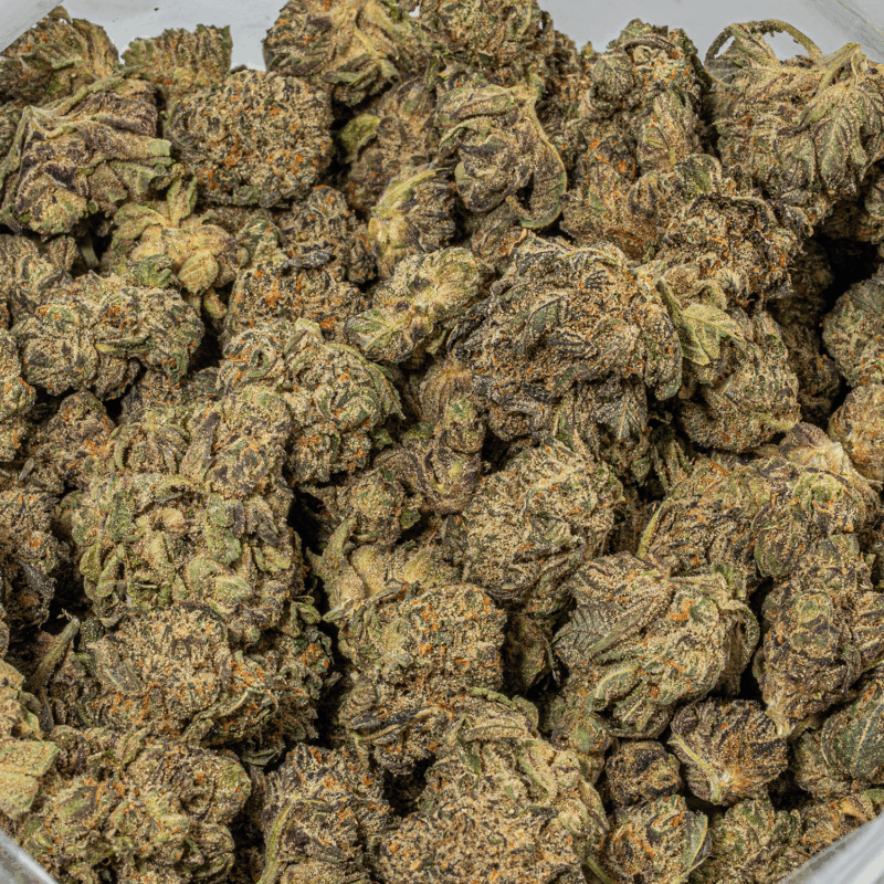Purple Pinecone (AA+) - Image 5