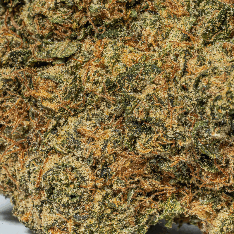 Lime Chernobyl (AAA)