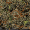 Sunset Runtz (AAAA+)